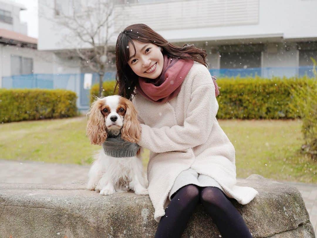 末井櫻子のインスタグラム：「明けましておめでとうございます🎍 ． ． 雪！！！！！❄️ ． ． 今年もゆるりとやっていくのでよろしくお願いします☺︎ ． ． ． #あけましておめでとうございます 🐮 #今年もよろしくお願いします 🐮 #いつもいいねコメントありがとうございます 🐮 #leica」