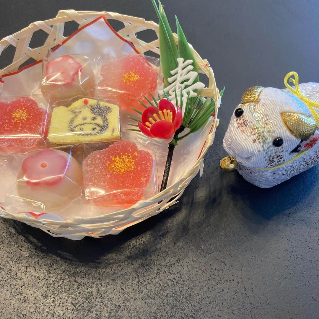 のインスタグラム：「あけましておめでとうございます🌅  今年は変化を巻き起こす年にしたいです！昨年が、コロナの影響で全体的に停滞感に覆われた一年だったので…。  4月からの大学院も本当に楽しみ😊仕事も、経済やクイズ番組に加えて講演会など更に強化していきたいです！こういう時だからこそ、変化を恐れずにチャレンジしよう✨  皆さま、2021年もよろしくお願い致します！ #2021 #元日 #あけましておめでとうございます #新年のご挨拶 #今年の抱負 #楽しみなことがたくさん」