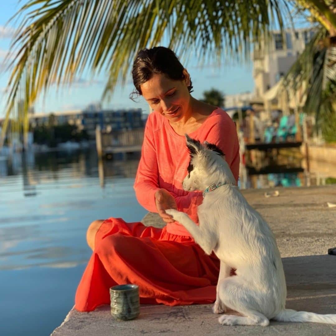 Leslie Camila-Roseのインスタグラム：「Made it through the last 14 months because of this little guy. Universe, be gentle. Many of us are running out of fuel. So I won’t say happy new year, because at that point it can almost be offensive or add pressure, but I truly wish you get to see the light and connect to Love in this “not always fun ride” called life. It is right there in these brief moments of joy and magic that you’ll remember why all the questionable non sense is actually magnificent and worth everything. With Love, always. Onwards.」