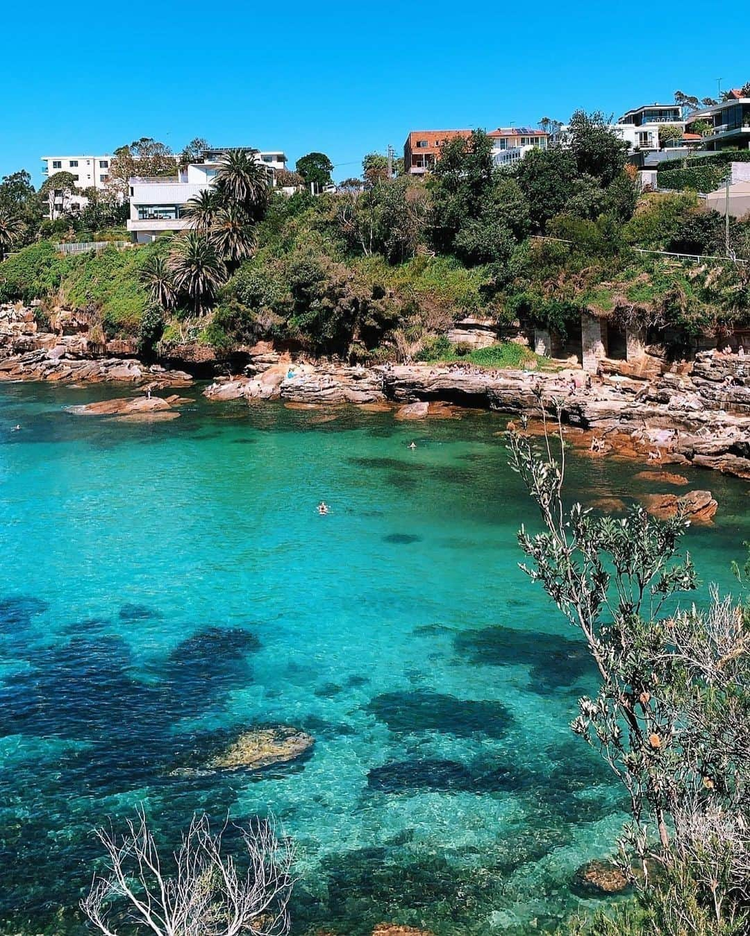 Australiaさんのインスタグラム写真 - (AustraliaInstagram)「Ah, what a glorious summer scene to kick start the new year! ☀️🏖️ @lachlanxthomson snapped this gorgeous shot of the hidden #GordonsBay in @sydney, and it makes us want to dive on in, ASAP! This little oasis is located near #ClovellyBeach and #CoogeeBeach along the coastal walk between #Bondi and #Coogee. The bay is only accessible by foot and is protected by a reef so the water is calm and clear. Pack some gear to snorkel the #GordonsBayUnderwaterNatureTrail; a self-guided trail that’s kind of like a bush-walking track, only it’s underwater. Pretty neat if you ask us! #seeaustralia #holidayherethisyear #ilovesydney #LoveNSW」1月2日 4時00分 - australia