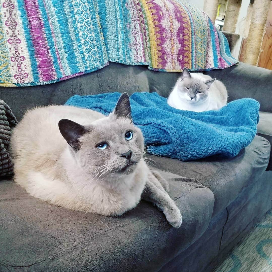 Garyのインスタグラム：「Is it too much to hope that this episode of #Fargo doesn't turn into a bloodbath?」