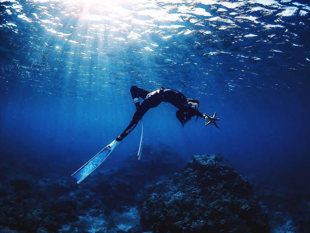 LuCyCoさんのインスタグラム写真 - (LuCyCoInstagram)「🌈2021  【Seize the fortune by the forelock】  幸運の前髪をつかめ！🧜🏻‍♀️✨ だよ  ○チャンスに気づく直感力 ○チャンスをつかみとる決断力 ○ 一度つかんだら離さない腕力と能力  ちなみにわたしがつかんでるのは ヒトデ⭐️ですw  今年の目標は  ・フリーダイビングAIDA2を取得する ・阿嘉島リトリートを開催 ・コントーショントレーニングの継続をして使える身体を基盤にする ・好き　を基準に。 ・自分の常識をこえる ・リラックスする  みんなの目標は なんですか？？  なんだか不安なのです。実は。自分でコントロールできないものがあるのを知ってるから。でもすべては宇宙の流れにのっていて、なにも間違いではない、正しい道だともわかっている。  でも、不安だよ！正直。  自分ひとりでは、なかなか難しいことがたくさんあるから。 いつだって、気づかないうちにまわりの人に支えられてる。  いつかもっと強い人間になって、わたしが支えれるくらいになる  けどまだまだ未熟者なので、 それまでみなさま いろいろ教えてください🙏🏻  今年も1年 どうぞよろしくお願いします💜  #underwaterphotography #underwater #underwaterworld #underwaterphoto #divermag #skindiving #love #sea #great_myshotz #greatview #慶良間　#慶良間ブルー #スキンダイビング #海好きと繋がりたい #海仲間募集中 #素潜り女子 #beach_girl #mermaid_art1 #マーメイドアート #freediving #慶良間スキンダイビング#leaderfins」1月1日 20時58分 - lucyco_blue