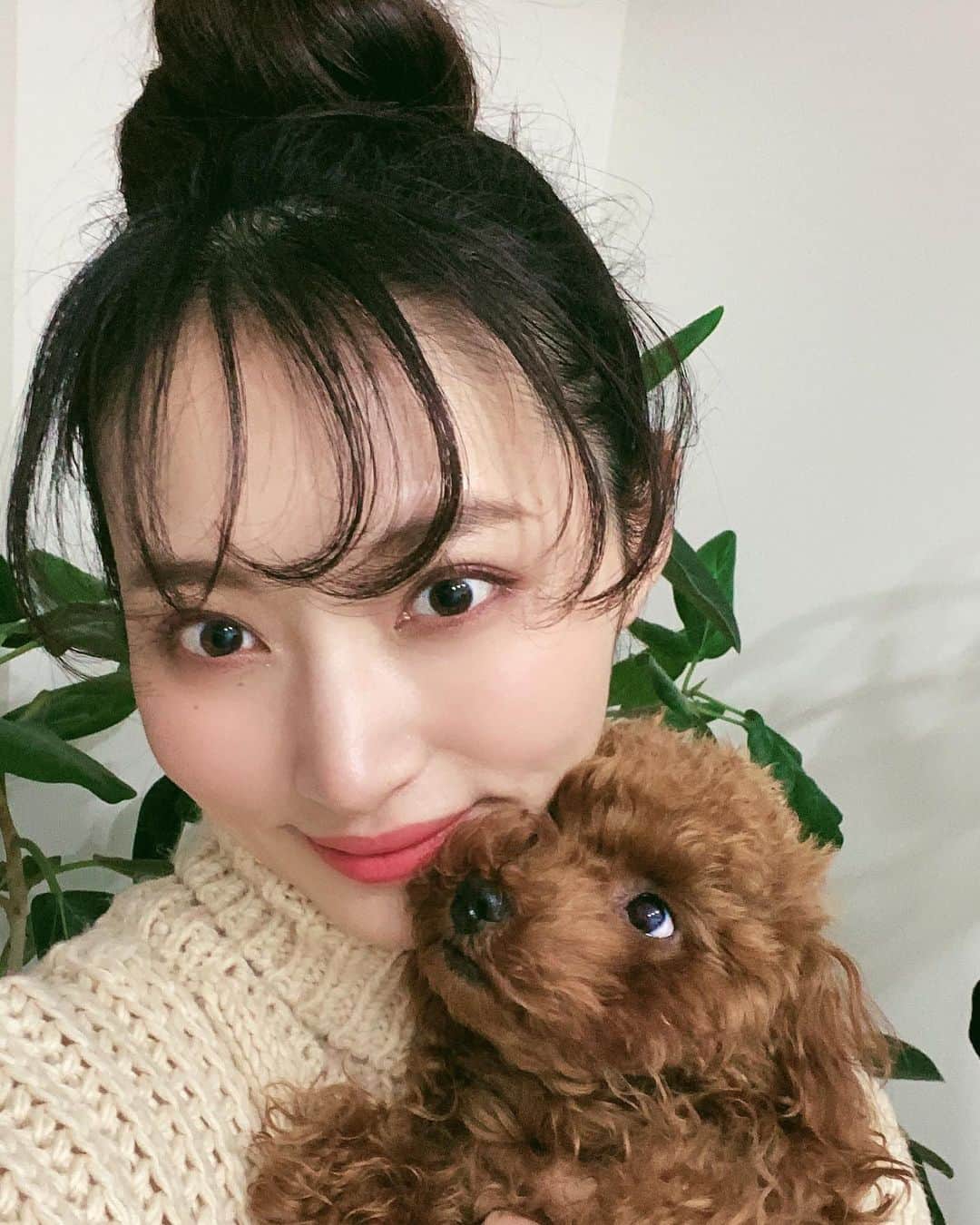 茉莉さんのインスタグラム写真 - (茉莉Instagram)「🌅🎍⛩ 今年はワンちゃん達と初めて年越し。 2匹ともやんちゃでいつも走り回って、 ちょっと疲れる時もあるけど。笑 辛かった時も泣いてる時も、 いつもそばに居てくれた。寄り添ってくれた。 ありがとう。大好きだよ。 もっと色んなところへ行って たくさーん幸せな日々を過ごそうね。 みなさん良いお年を。 . . #happynewyear2021 #愛犬#犬のいる暮らし #親バカ #犬愛が止まらない #今年もよろしくお願いします🎍」1月1日 21時00分 - mari._xx
