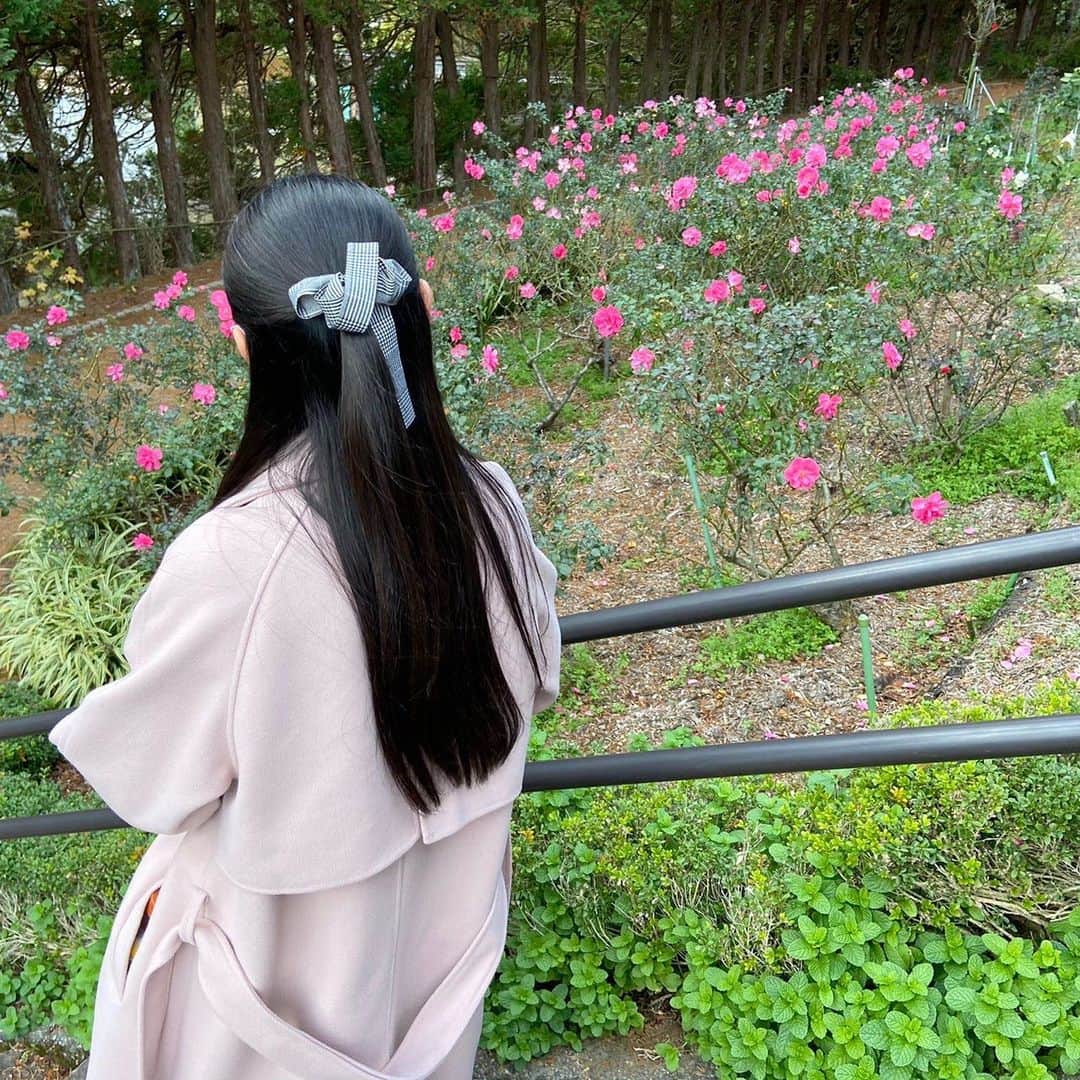 澤田美晴さんのインスタグラム写真 - (澤田美晴Instagram)「あけましておめでとうございます🌷！  2021年も自分らしく精一杯頑張っていきたいです！！！ 今年もよろしくお願いします💐！  写真は妹がピンクのお花を見て わたしだ！！と思って撮ってくれた一枚です🌷🌸」1月1日 21時02分 - sawadamiharu7