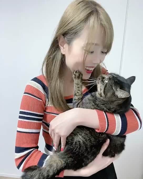 のインスタグラム：「☆ あけおめ！」