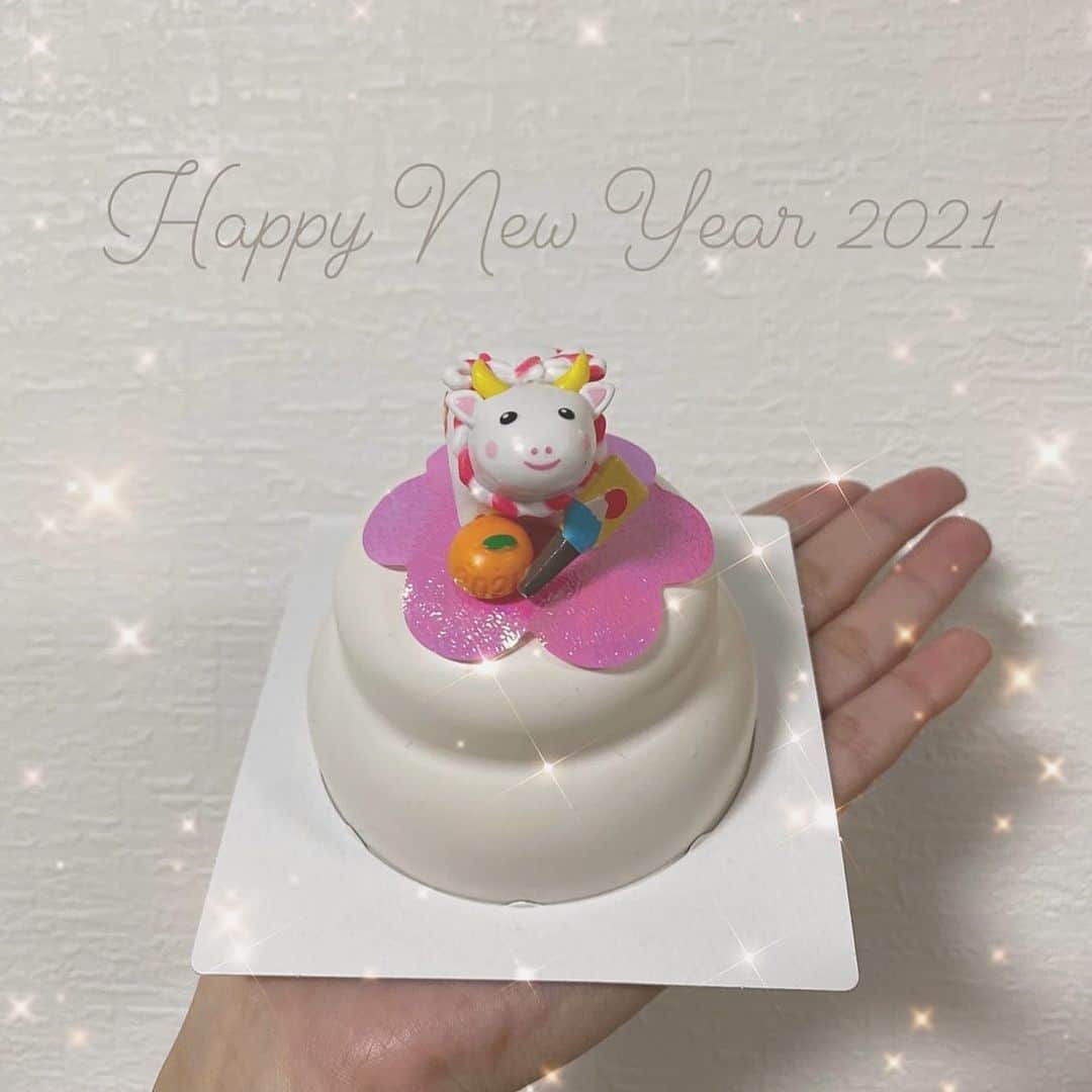 上田理子さんのインスタグラム写真 - (上田理子Instagram)「明けましておめでとうございます😌  2021年、元日からたくさん 笑わせてもらいました！！  皆さんにとっても、笑顔で溢れる 明るい1年になりますように💭  #2021年 #丑年 #🐮」1月1日 21時30分 - ueda_riko_official