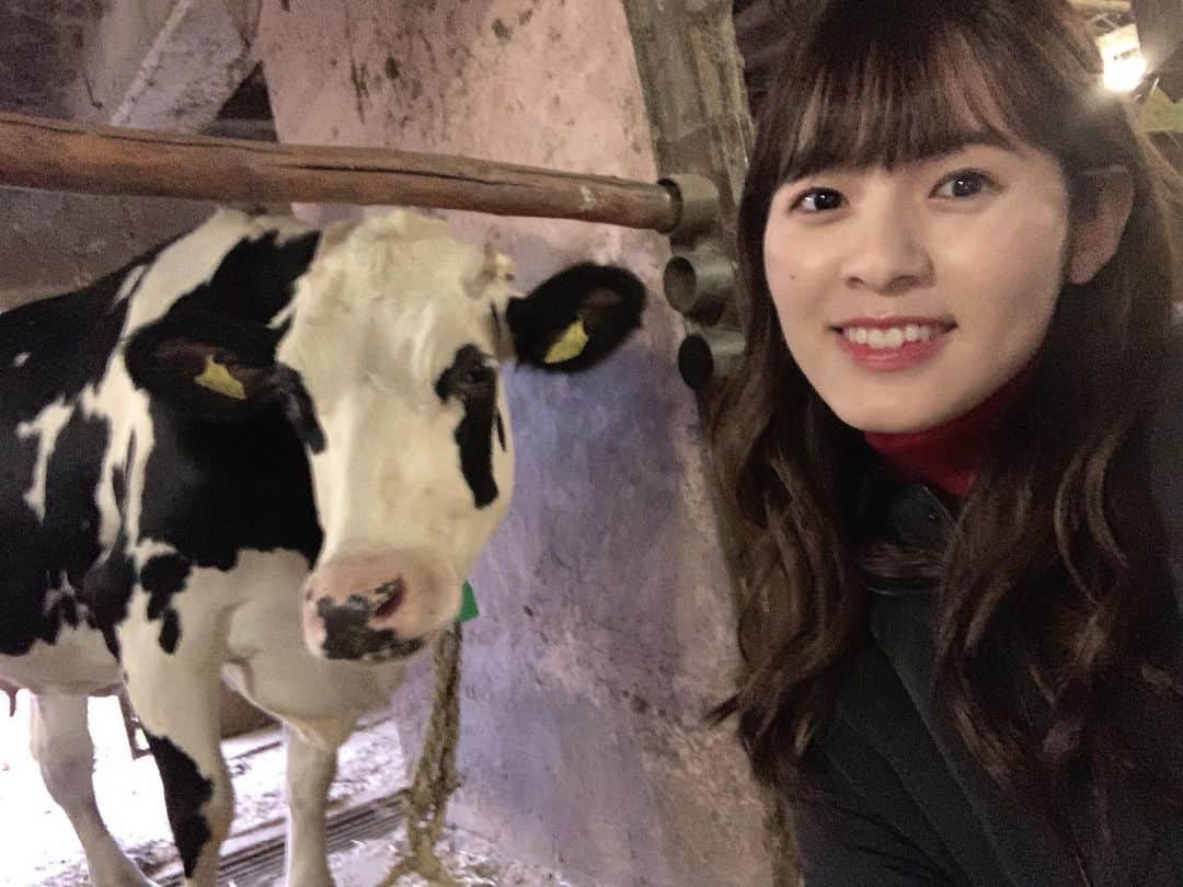 田村響華のインスタグラム：「あけましておめでとうございます 今年もよろしくお願いします☺︎  #2021 #新年 #あけましておめでとうございます #🐮」