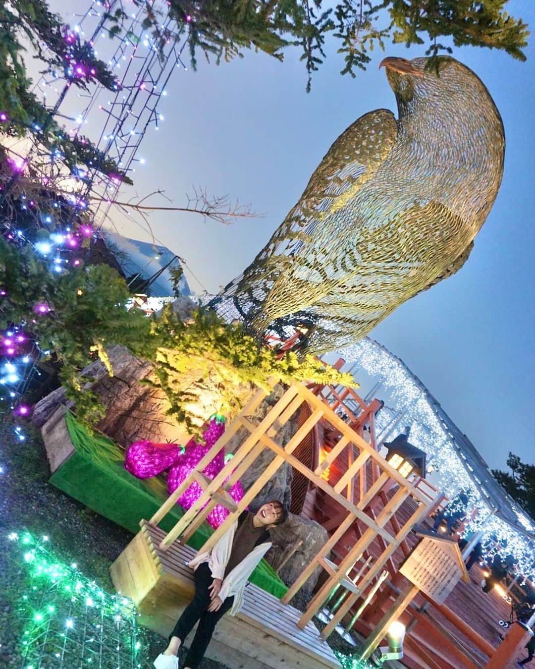 鳥越佳那のインスタグラム：「🎍あけましておめでとうございます🎍  初夢で 【一富士、二鷹、三茄子】を見ると 吉夢✨と言われていますが、  まさに その全てが詰まった１枚📷✨  みなさん 素敵な夢を見て 希望に満ち溢れた1年になりますように😌✨  2021年も よろしくお願い致します＾＾  (写真は去年10月のものです🙏)  #御殿場 #時之栖 #初夢 #一富士二鷹三茄子」