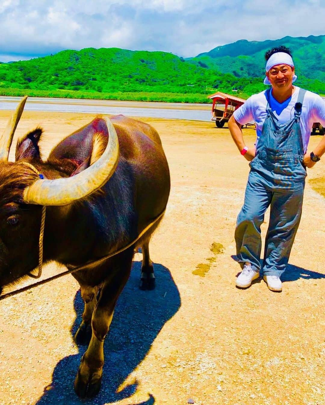 川原豪介さんのインスタグラム写真 - (川原豪介Instagram)「あけましておめでとうございます🎍今年もよろしくお願い致します‼️仕事初めはラジオの6時間半生放送でした！おみくじはまさかの凶でした！あとはあがるだけばい！わーい！２０２１年は仕事ギューギューになるように頑張ります！モ〜‼️ #ブルーリバー」1月1日 21時48分 - blueriver_kawa