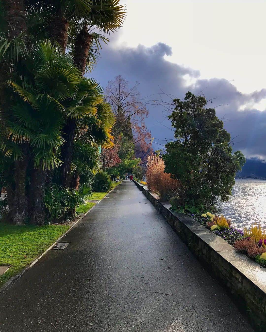 のインスタグラム：「Montreux, January 1st 2021」