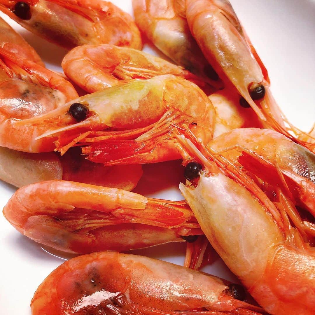 脇田唯のインスタグラム：「🦐  正月の  実家あるある  ボイル海老 食べまくる  私のためだけに用意された ボイル海老。」