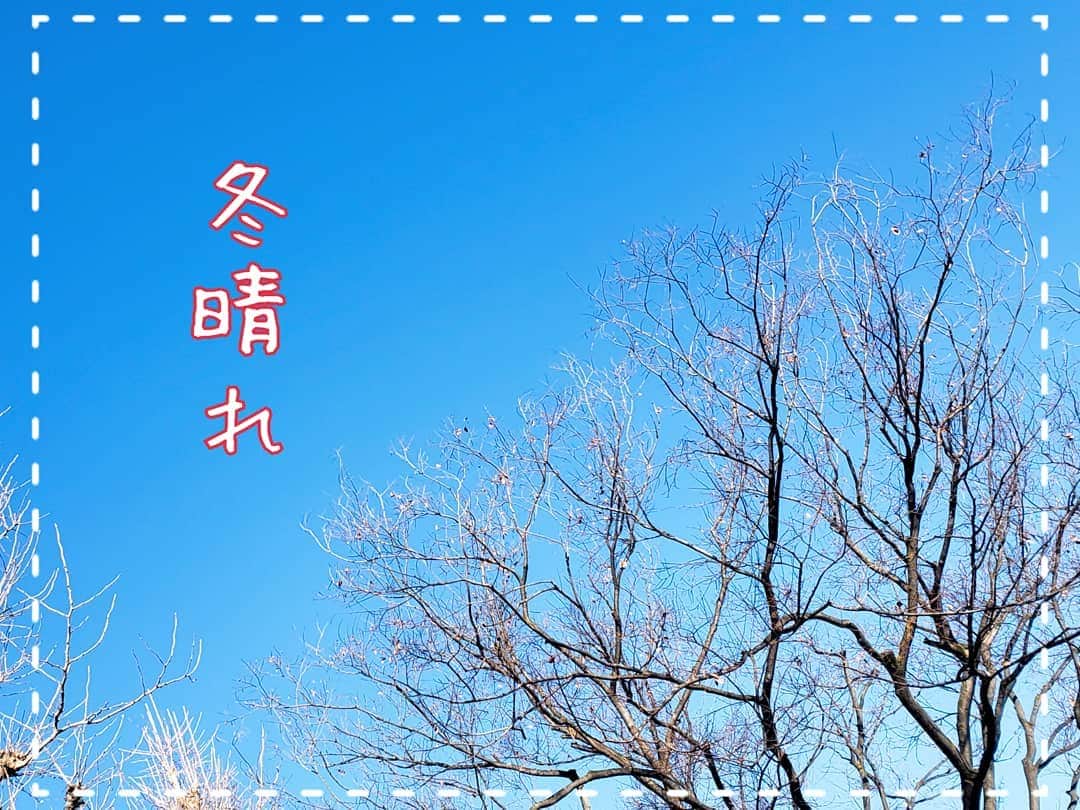 片山美紀のインスタグラム：「「冬晴れ」 2021年。東京では快晴の青空、冬晴れで始まりました。空気は冷たく凍えましたが、清々しい気分で元日から仕事を始められました。ことしも暮らしのお役に立てる気象情報をお伝えしていけるように頑張ります。  #天気#天気予報#気象予報士#お天気#季節#冬#アナウンサー#お天気#気象キャスター#四季ソムリエ#日本の四季を楽しむ#季節を楽しむ#美しい日本語#春夏秋冬#日本の文化#日本の伝統#あけましておめでとうございます#お正月#冬晴れ#青空#快晴#仕事始め」