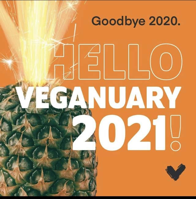 デアンドレ・ジョーダンのインスタグラム：「If 2020 taught us one thing - we all learned a lot about ourselves and we are all striving to be great!  So if I can suggest one thing that will make you better, make #Veganuary part of your January goals. Whether it's one meal, a full week, or the whole month - try it and let us know what you think!! Go to @weareveganuary to get great tips.」