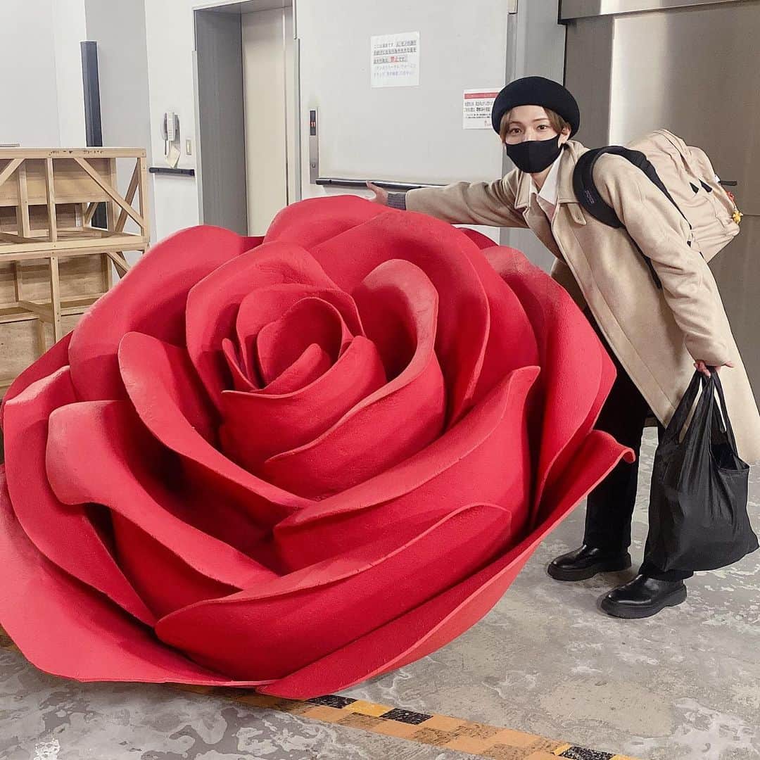 こんどうようぢのインスタグラム：「Happy new year !!   2020年は5本の舞台に出演したり たくさん成長した年になりました。 もっともっと真剣にお仕事をして 沢山ファンの子を喜ばせられるように 精一杯、頑張りたいと思います。 引き続き応援宜しくお願いします🌹  まだ他の人に言ってないことを願って 今年初の大好きをください！！  俺も今年初の、大好きを 皆にあげようと思います。  大好きだよー！！！！！！！」