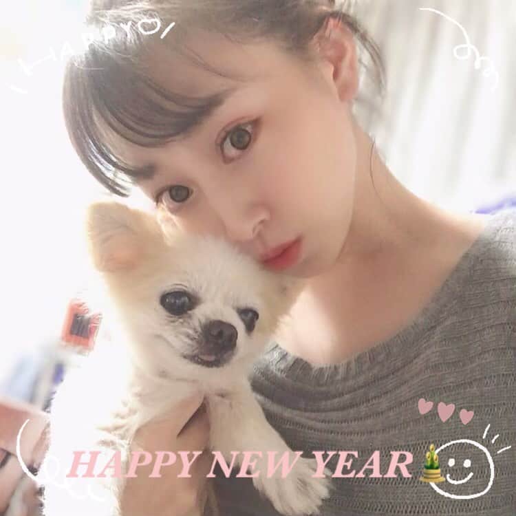 のインスタグラム：「🎍 . . 2021年♡  皆様、今年もよろしくお願いします😍👊🍀  昨年は、愛犬３匹、トゥインクルもマリンもメルも、それぞれ色々あったけど、強い生命力で乗り切ってくれました🐶💕  凄かった！！  私も、今年も全て乗り越えていくぞ！！ . . #happynewyear  #2021  #今年もよろしくお願いします #マリン #チワワ #犬」