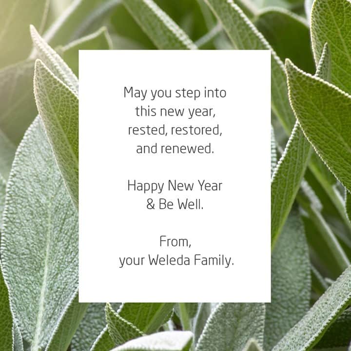 Weledaのインスタグラム：「May you step into this new year, rested, restored, and renewed. 🌿 Happy New Year & Be Well. From, your Weleda Family!」