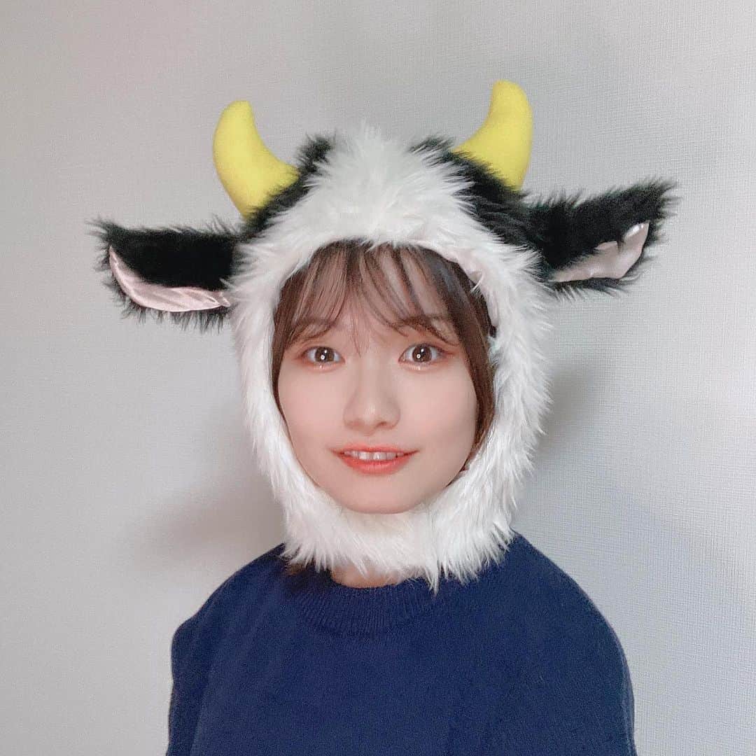 のインスタグラム：「🌅  新年あけましておめでとうございます🌟   b612とかUlikeとかで 牛フィルターがあるけど、 一目惚れして実物を購入しました🐮 ふわふわでかわいい…！✨       2021年もそんな本田をよろしくお願いいたします🙇‍♀️              #happynewyear #2021  #今年もよろしくお願いします  #cosplay #かぶりもの #🐮 #uuum」