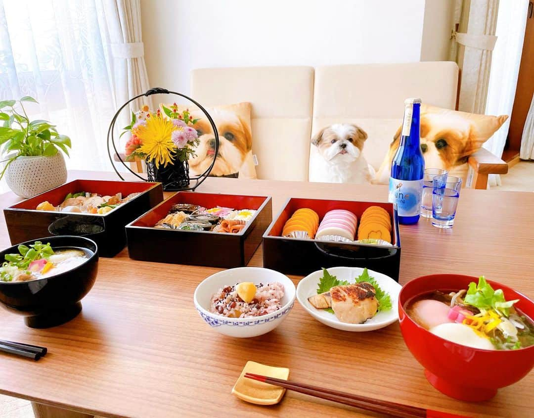 水嶋はちのインスタグラム：「Happy new year dear friend and your family 🎉💖✨ * * This is a traditional Japanese New Year’s dish called Osechi-ryori. It’s an assortment of small dishes. Each dish has meaning, and is part of celebrating the New Year and helps usher in good health and prosperity for the family for the year. * * わが家のお正月は手作りのおせち料理で迎えます。 * 昨年は誰にとっても大変だった一年で いろんな想いを経験した一年だったと思います。 * おせち料理は、家族の一年間のしあわせを願うために用意する大切な日本の食文化です。 ひとりで作るのは年々きついですが、家族でしあわせを重ねていきたいというなかなか口に出せない想いを込めて準備して迎える新年は、やはり格別でとても晴れやかな思いになるので、これからもきっと続けていくと思います😊 みなさん 新年も はち共々よろしくお願いいたします🙋‍♂️🐶🙋‍♀️💖 * * #はち #HACHI #シーズー大好き部  #happynewyear」