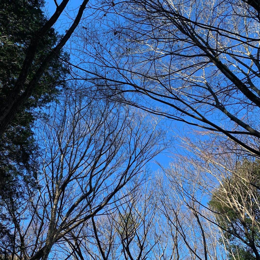 草野美木のインスタグラム：「Happy new year 💫2021年もよろしくお願いします.」