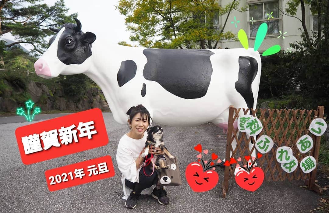 服部ひで子のインスタグラム：「あけまして おめでとうございます🎍✨  笑顔で健やかな１年を過ごせますようにﾟ+.ﾟ(´▽`人)ﾟ+.ﾟ  本年も、吉本新喜劇をよろしくお願いいたします☆  2021年1月1日」