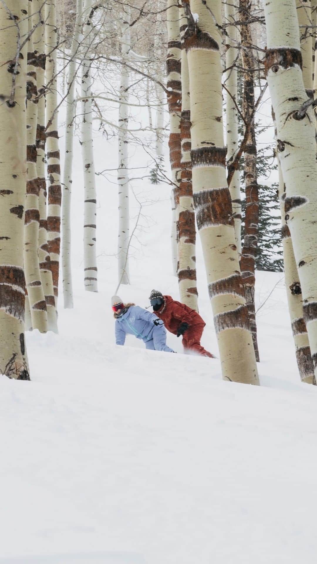 アナログクロージングのインスタグラム：「Anna Gasser and Christian Haller take to the trees of @powdermountain for the glades run we all dream of.  @annagassersnow @hitschhaller Stream #BurtonOneWorld Via Link In Bio.」