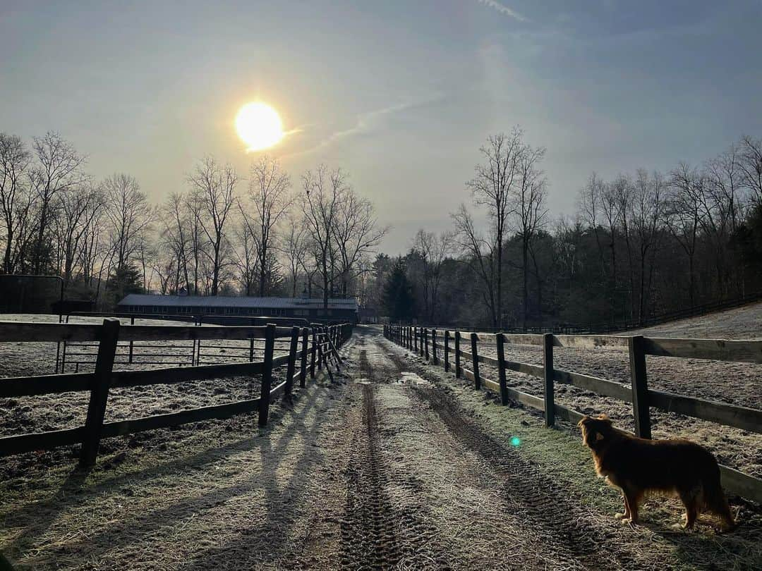 アマンダ・サイフリッドさんのインスタグラム写真 - (アマンダ・サイフリッドInstagram)「“Hello, sun in my face. Hello you who made the morning and spread it over the fields...Watch, now, how I start the day in happiness, in kindness.” Mary Oliver #hny」1月2日 0時11分 - mingey