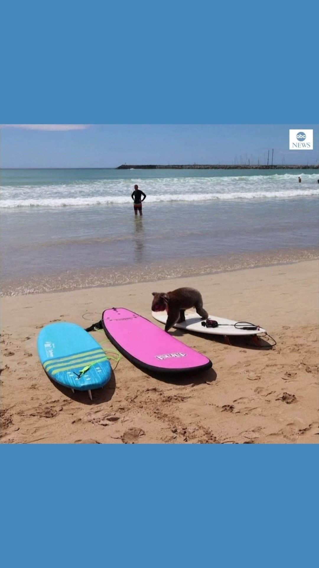 ABC Newsのインスタグラム