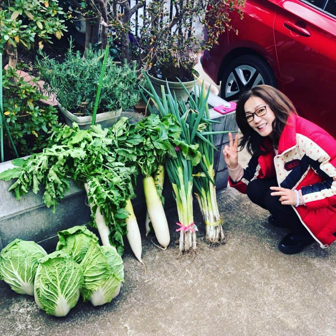 田中杏子さんのインスタグラム写真 - (田中杏子Instagram)「2021年あけましておめでとうございます㊗️ . 今年はみんなで、たくさん笑って過ごしたいですね。世界中の人にとっても実りの多い、素晴らしい一年になりますように🙏  実りといえば、今年も横浜の義父さんの家庭菜園で作られた、たっくさんの野菜を🥬🥦いただきました。豊作の年だそうです。  白菜、ネギ、大根、ブロッコリー、カリフラワー、ケール、小松菜、ほうれん草、里芋、ゆず、、、  ホントに美味しい野菜なんです🥬。 ありがたやー🙏🙏🙏🥰🥰🥰  #akotanaka」1月2日 0時30分 - akoakotanaka