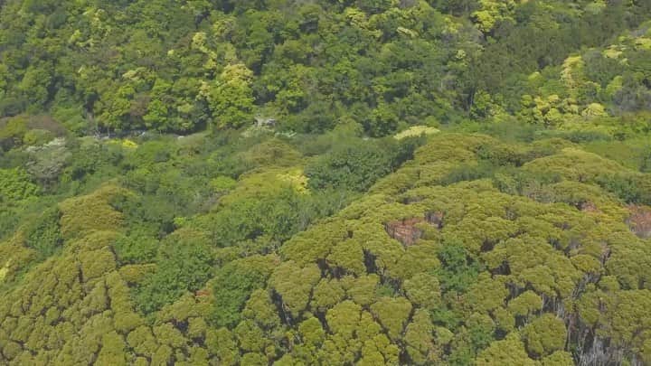 ヒデトレのグルメインスタ