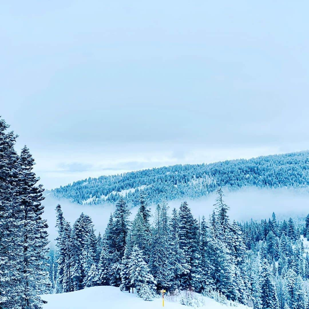 マイク・ヴォーゲルさんのインスタグラム写真 - (マイク・ヴォーゲルInstagram)「Bringing in the New Year in one of my favorite places on earth. Idaho has been showing off.  After decade of not riding, the kid’s still got it!  Now it’s time to teach the new generation. G-Money is a natural!...... Happy New Year! @brundagemtn #mccall #visitmccall」1月2日 0時59分 - realmikevogel