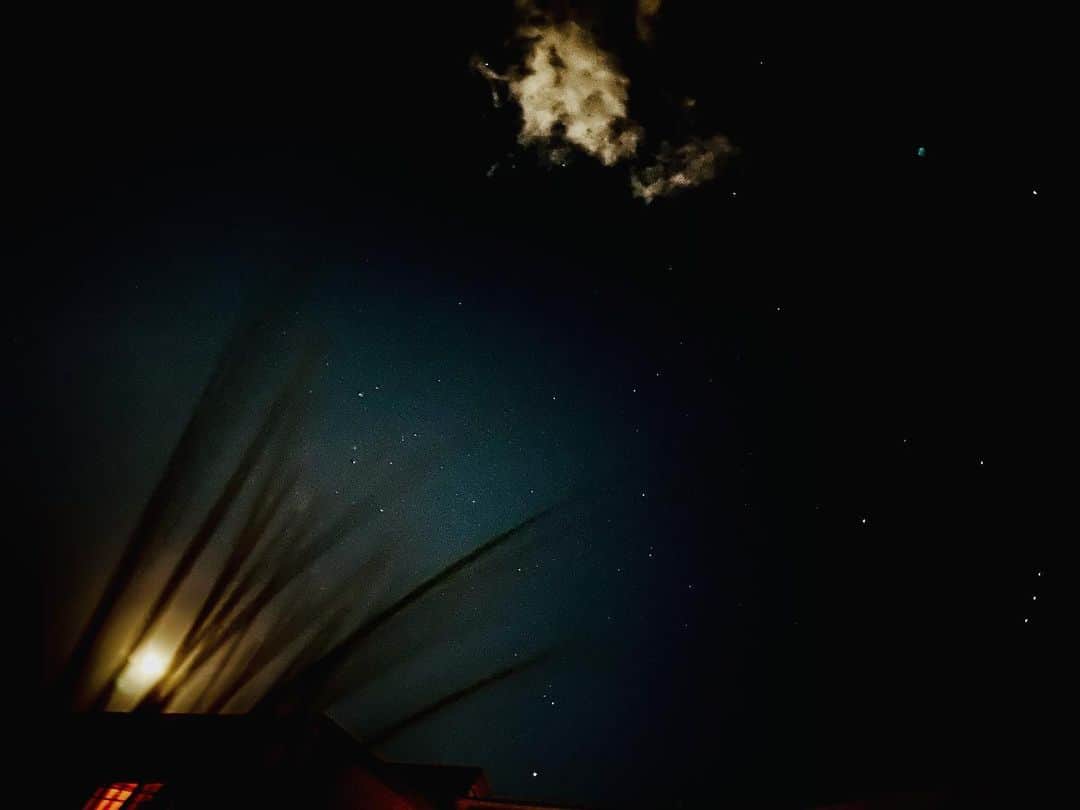安藤裕子さんのインスタグラム写真 - (安藤裕子Instagram)「月が眩しくてカメラを向けてみる 上空には本当はこんなに星があるんだ 知らなかったな  あなたにも教えてあげたい  「月と星がきれいですね」って  #1月1日　#冬の空」1月2日 1時19分 - yuko_ando