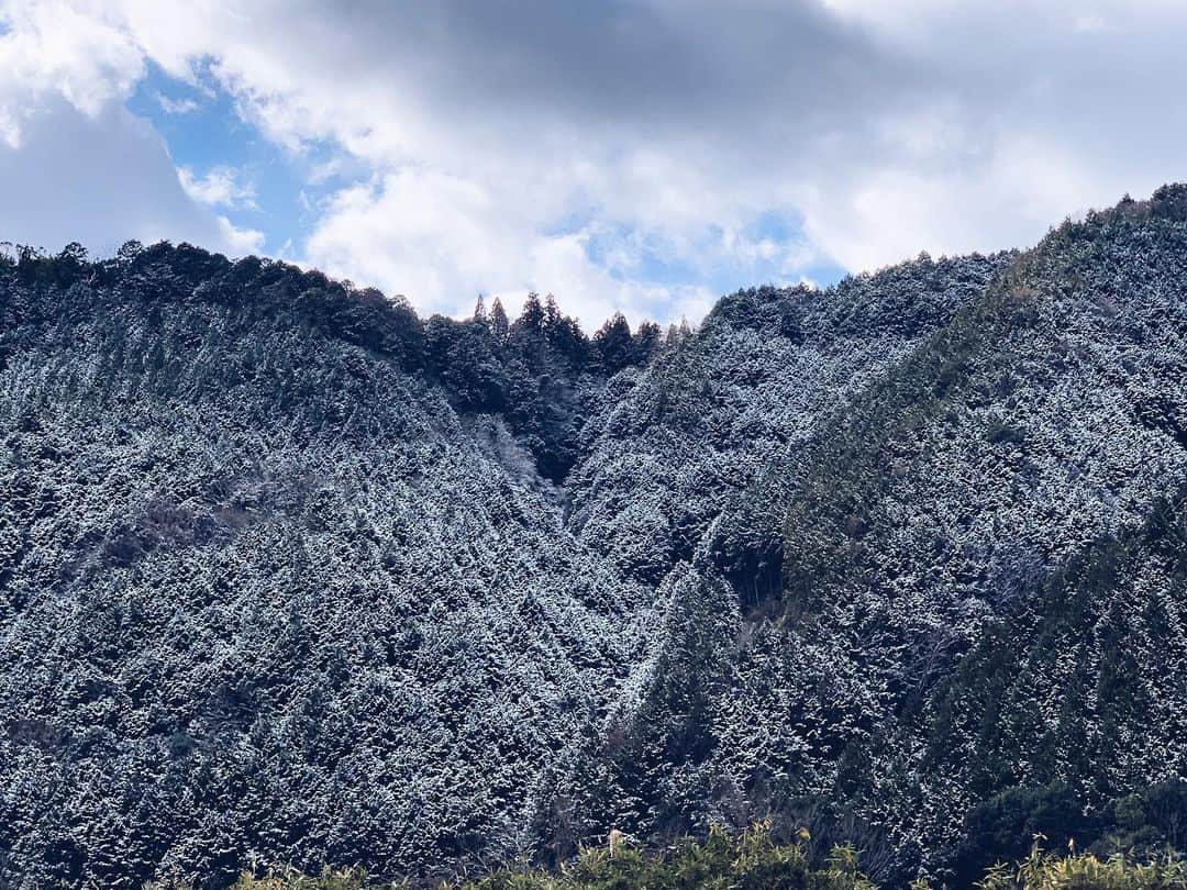 日下裕江さんのインスタグラム写真 - (日下裕江Instagram)「雪景色☃️  県北の山々に 雪が積もって山景色が綺麗✨  大晦日から雪がパラパラ降ってます❄️  初雪〜✨  田舎道では伊之助… もとい、猪🐗に遭遇‼︎ ふごふご何やら会話してました♪  田舎では猪ではなく、 車が猪を避けますw  猪さん、 堂々と道のど真ん中を歩き 逃げようとしませんからw  てか、 父の猪の扱いの慣れ方に ツッコミどころですw  自然の山々に囲まれながら、 雲が低く手が届きそうだな〜 とか、 山の削られた斜面を見て 猿の顔に見えるね〜 とか、 そんな田舎あるあるを ふと思い出し、 都会にいると そんな感覚忘れてるなって 気付かされます。  田舎にいる方が、 アーティスト的な 感性が豊かになる気がする✨  コンクリートジャングルに囲まれ、何をそんなに行き急いでるのか時間に追われ、忙しない日常に追われ、 SNSが普及し、 目の前の事に集中しすぎて 視野が狭くなってるような、 そんな事が ふと頭を過りました。  都会は便利で何でもあるけど、 大切な事を忘れがちな気もします。  たまに田舎に帰って リセットする時間は 本当大切だなと感じました✨  自然は偉大なり❀.*･ﾟ  #雪景色 #雪山 #雪山景色 #雪化粧 #田舎 #田舎道 #猪に遭遇 #猪 #イノシシ #いのしし #いのすけ #伊之助」1月2日 1時38分 - hiroe___h