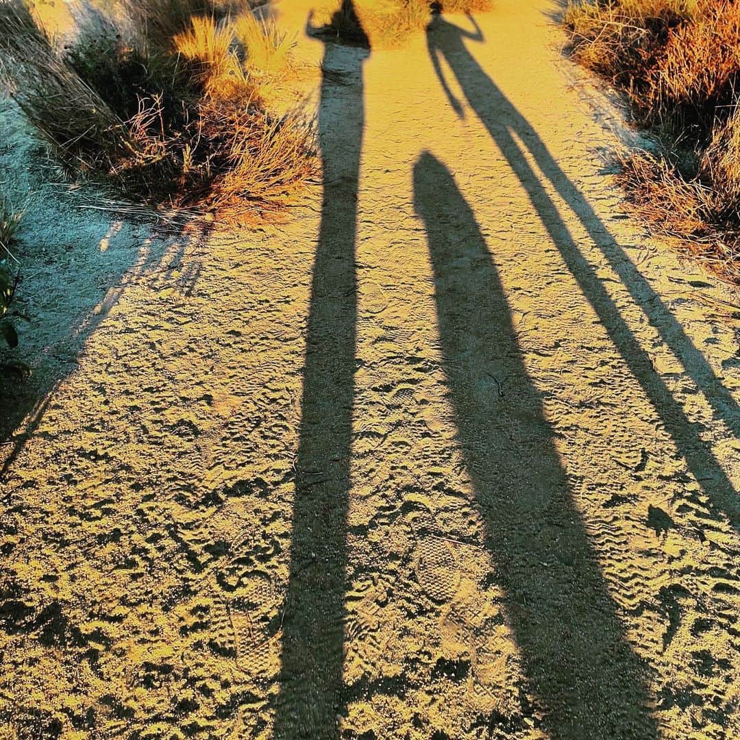 ジーン・トリプルホーンのインスタグラム：「On the path...2021」