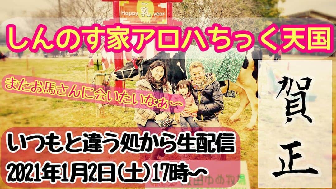 古本新乃輔のインスタグラム：「さてさて明日は いつも通りに毎週土曜の生配信。  今年は、 色んな事にチャレンジする一年になるであろうしんのす家。  今回は いつもと違う雰囲気で  いつも通りの生配信。  皆さんと 賀正でしょうなチャットトークで  いつも通りに騒ぎたいと思われます。  https://youtu.be/W61vjMDDt1A (プロフィール欄のリンクツリーから #YouTube へジャンプ！)」