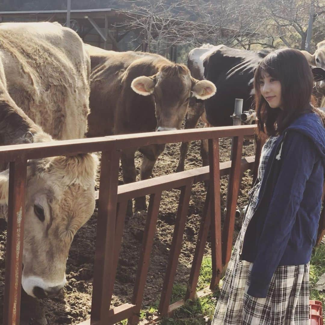 与田祐希さんのインスタグラム写真 - (与田祐希Instagram)「新年明けましておめでとうございます🎍 皆様にとって幸せな一年になりますように 少しでも笑顔が増えますように  今年も宜しくお願いします🐮」1月2日 13時31分 - yodayuuki_oimo