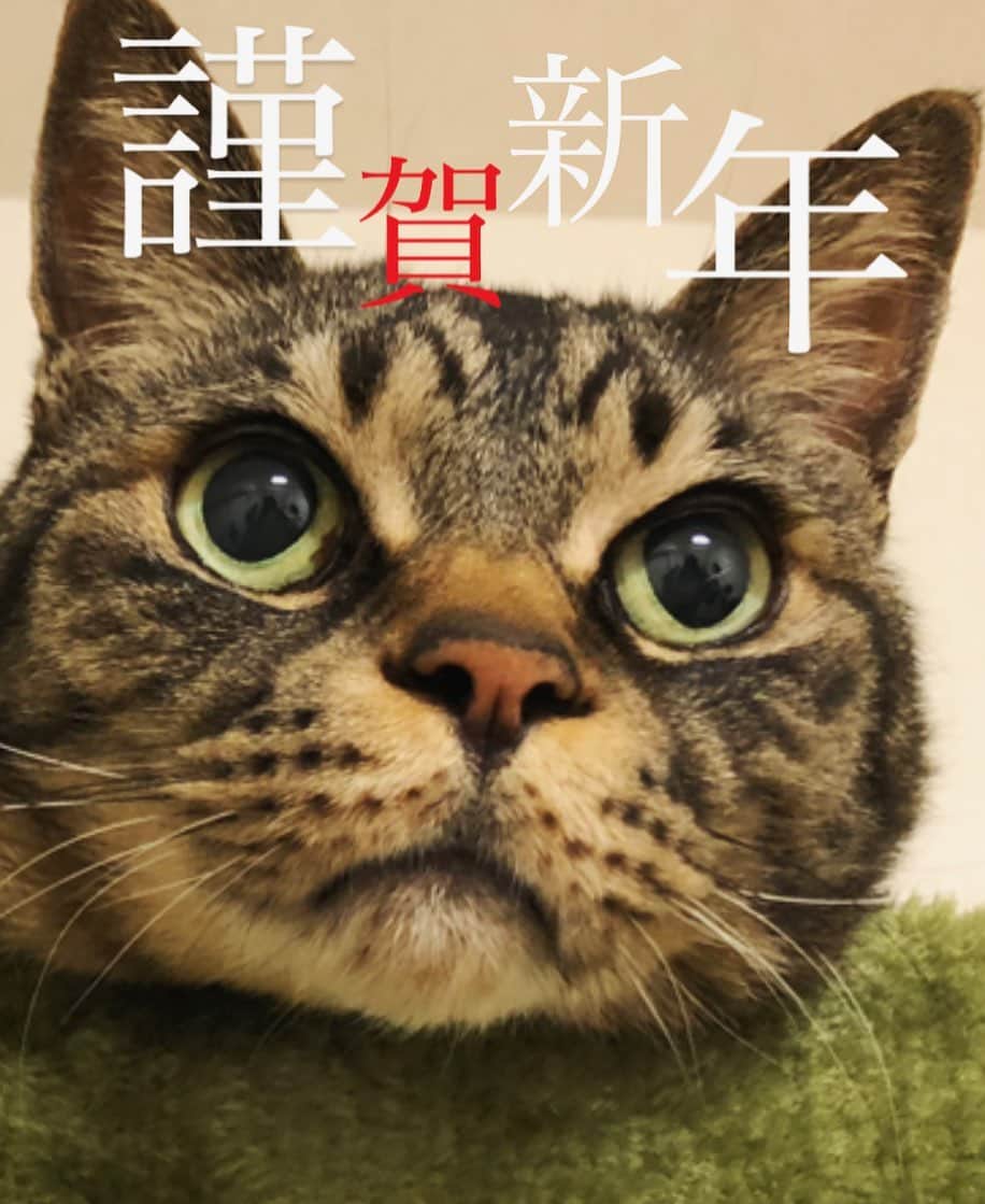 Kyrieのインスタグラム：「あけましておめでとうございます。 旧年中は大変お世話になりました。 本年も何卒宜しくお願い申し上げます。  さて、元日から明日のRtBへ向けて下拵え。 サウンドもこの企画用に一新したので、 どんな風に聞こえるかな。お楽しみに。  https://twitcasting.tv/ml_hamashobo/shopcart/41674」