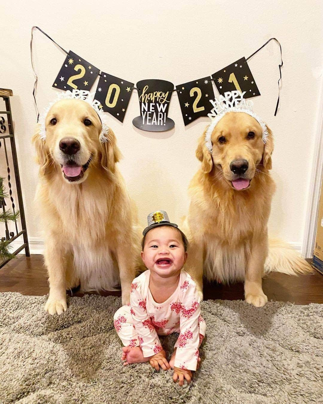 8crapさんのインスタグラム写真 - (8crapInstagram)「These lovely pups are woofing you all a Happy New Year! 🥳2️⃣0️⃣2️⃣1️⃣🎉 - 📷 @pugloulou @jaxson_thegolden @WoofPackMiami @kono_in_orlando @thatcorgiwithatail @sammythegolden247 @hi.wiley @the.adventuresofkali @9648miku @thewhitestpupsyouknow - Want to get featured like them? Join “The Barked Club” on FACEBOOK and post something now! 👉 barked.com - #TheBarkedClub #barked #dog #doggo #Pug #GoldenRetriever #Husky #GermanShepherd #GSD #Beagle #Pitbull #FrenchBulldog #Frenchie #Dalmatian #AustralianShepherd #Aussie #Doodle #Weimaraner #Corgi #ShibaInu #Shiba #StaffordshireTerrier #Staffy」1月2日 14時00分 - barked