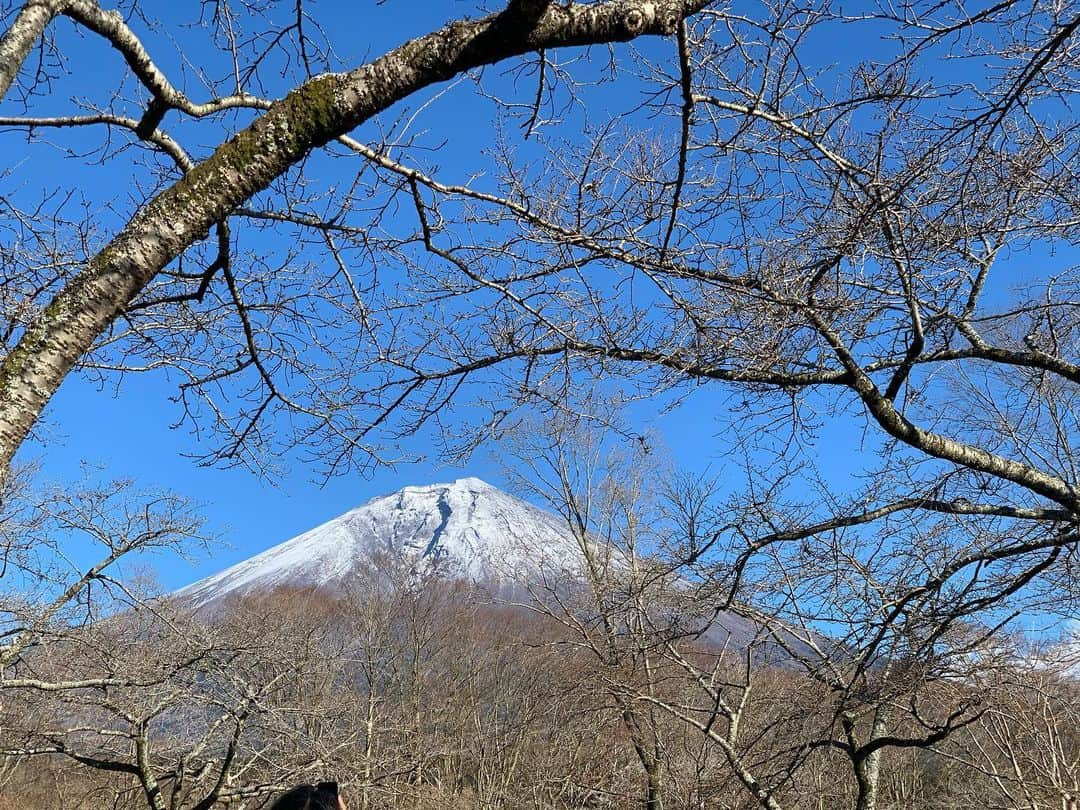 七海ティナさんのインスタグラム写真 - (七海ティナInstagram)「パパを撮るママを撮る娘。 . . . FUJIYAMA . . 空気が澄んでいて、とても静かな時の流れ。 空気が美味しいってこういうこと。 . .  #富士山#お正月#謹賀新年 #おはよう日本 #東京より暖かい」1月2日 14時09分 - tinaaaa1208