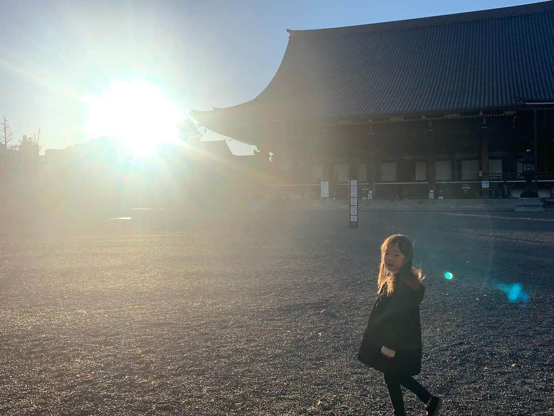 坂本美雨さんのインスタグラム写真 - (坂本美雨Instagram)「おおきな光に包まれたり ときには 小さな光を灯したり 今年もめいっぱい心を揺らしながら。  #今日のなまこちゃん」1月2日 14時18分 - miu_sakamoto