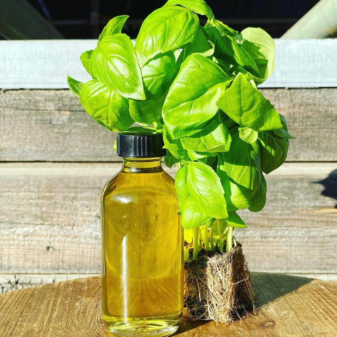 ケリスのインスタグラム：「Basil infused olive oil and smoked basil infused sea salt bundle available now bountyandfull.com」