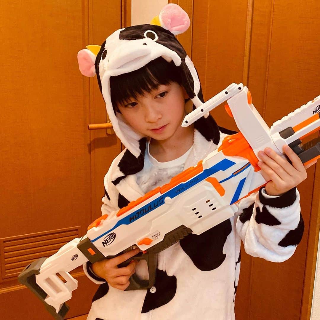 太陽チャンネルのインスタグラム：「あけました！おめでとうございます！！ 我が家は例年通りイオンに行って福袋買って、お年玉でおもちゃ爆買いして帰って家の中が大変な大騒ぎになって…😹 今季は雪がたくさん降るので雪でたくさん遊んで…⛄😹 今年はウイルスが落ち着いて、みんなと会えるイベントが開催できるといいなあ😿💕 今年も仲良くしてくれたら嬉しいです🎍🐓🎍」