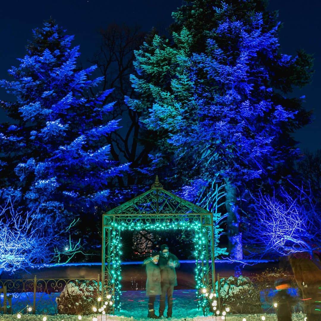 ニューヨーク植物園のインスタグラム：「December may have come and gone, but with winter in swing, NYBG GLOW isn't slowing down! . Hit the link in our bio to grab your tickets for our remaining January dates, including two new dates just added for the 8th and 16th. Don't miss your chance to experience the Garden aglow during these special outdoor, after-dark events. . #plantlove #NYBGglow #allinnyc」