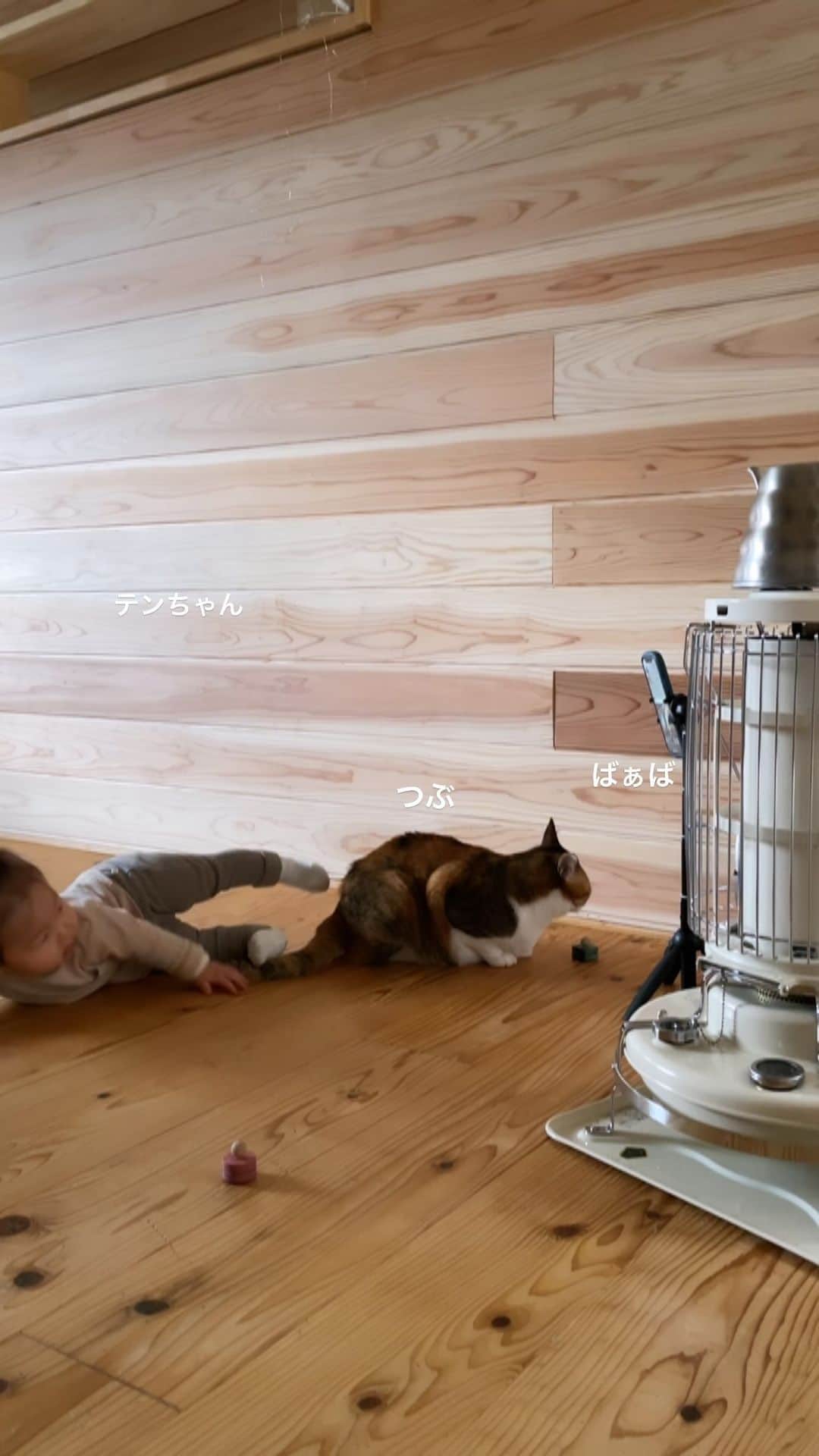 福田基広のインスタグラム：「テレビ電話でバァバと話す1歳の娘テンちゃん with 猫のつぶ第2弾 #赤ちゃん #娘 #1歳1ヶ月 #1歳 #むすんでひらいて #猫 #テレビ電話 #テンちゃん日記」