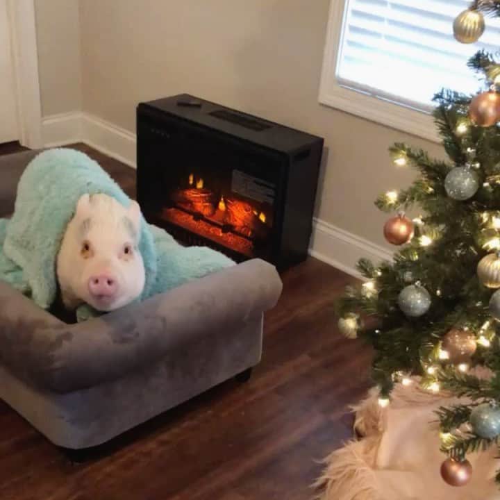 のインスタグラム：「Ahhhhh! There is nothing like staying at home & building a fire.」