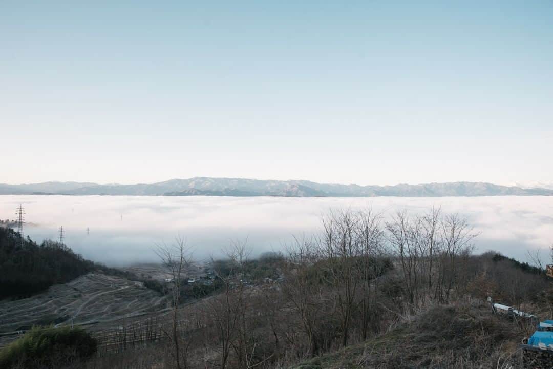 ヒラハルのグルメインスタ