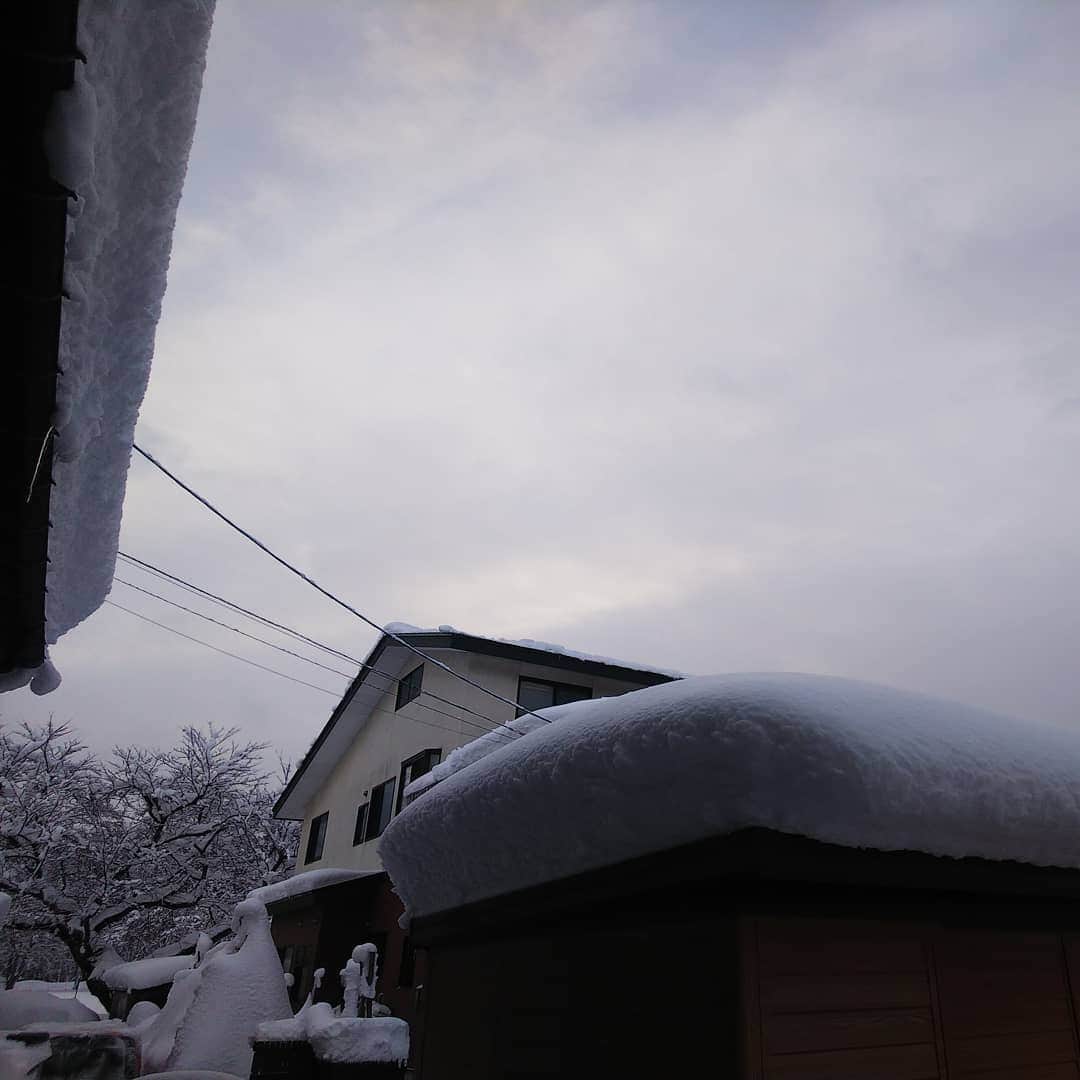 みながわゆみさんのインスタグラム写真 - (みながわゆみInstagram)「#イマソラ #いまそら #ゆき #雪 #雪景色 #雪国 #雪が積もりました #雪に負けず頑張ろう」1月2日 8時05分 - nama.09.19