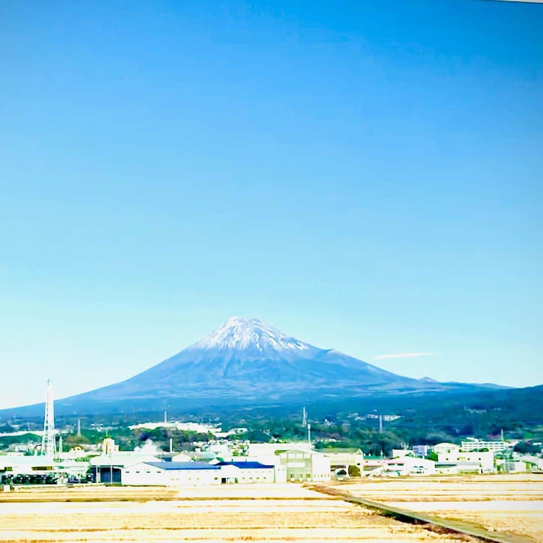 のインスタグラム：「本日の心斎橋角座正月興行出演！！タンブリン大サーカス出番は１３時くらいの予定です！！  #本日の富士山　#富士山 #団長安田 #安田大サーカス団長　#タンブリン大サーカス」