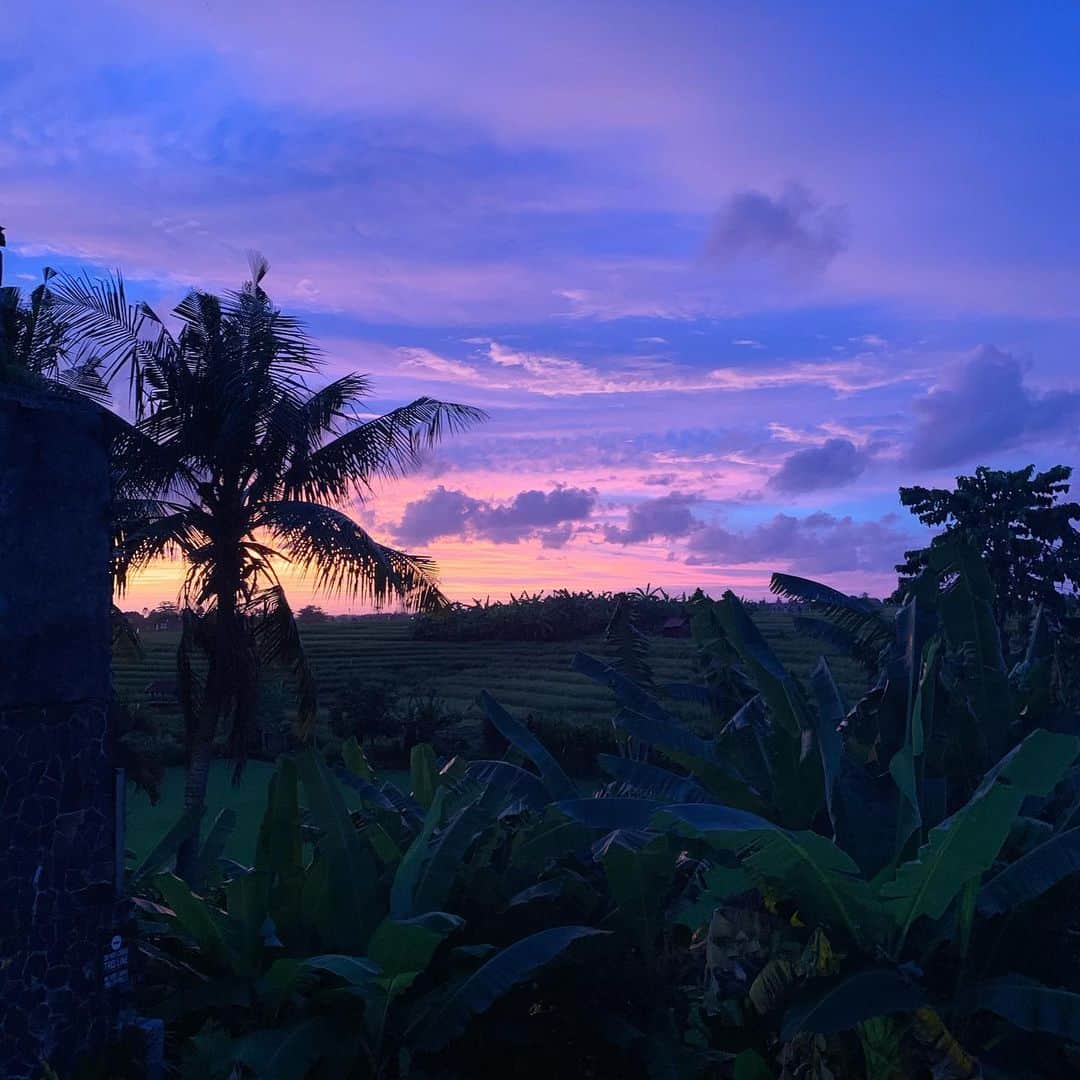 タリン・サザンのインスタグラム：「My annual new years intentions were written to a glowing Balinese sunset and the soundtrack of insects. As I sat on my balcony along the rice paddies, I felt the magic of the universe give a little nod.   Last year on this exact day, I shared a 21-day abundance meditation challenge with a group of about 55 of you on Telegram. For anyone needing a little boost of abundance to take you into the new year, I highly recommend this free meditation series, which is hosted by @deepakchopra. Even though I’m not actively posting in the Telegram group now, you should still be able to see all of last year’s audio recordings and thought exercises, which take about 15-20 minutes each day. I go back to it whenever I feel I need it....hope it’s helpful: https://t.me/journeyinward  HAPPY NEW YEAR!!」
