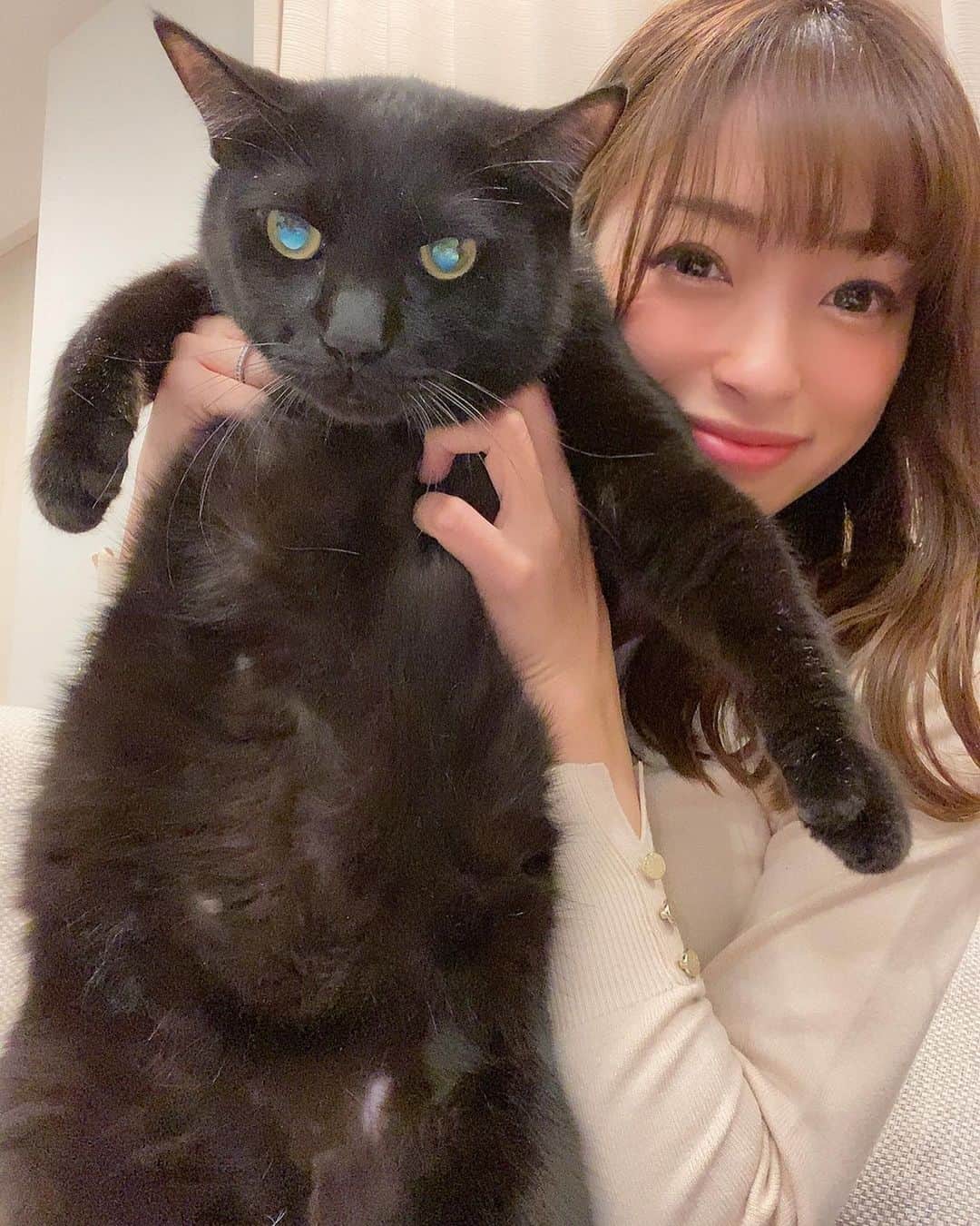のインスタグラム：「. あけましておめでとうございます㊗️🍾🎊 . 今年も皆さんにとって良い年になりますように🥰✨ . 赤ちゃんの時に保護してから7年。立派に成長したくーちゃんと楽しく健康にこの一年を歩んでいこうと思います💖 . 引き続き宜しくお願いします😊✨ . . . #新年#あけましておめでとう#2021」