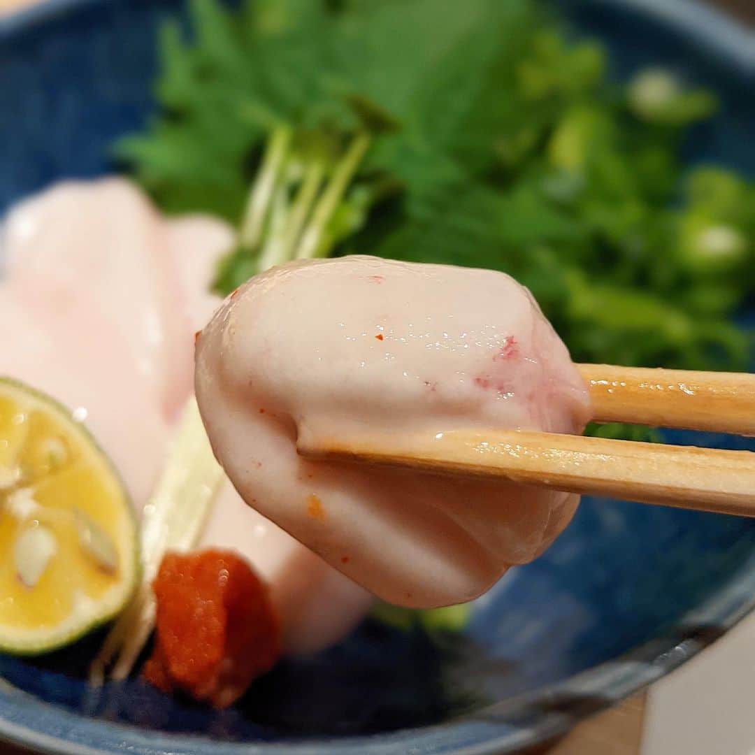 大見さなえさんのインスタグラム写真 - (大見さなえInstagram)「捌きたての国産とらふぐが楽しめる😍🐡﻿ 『#とらふぐ亭 』﻿ ﻿ 〆のフグ飯がこれまた最高だった！！﻿ フグ飯 1580円﻿ ご飯の上にはフグの身、皮、とろろ昆布、山芋、卵黄🥺🍳﻿ そしてフグでとった熱々の出汁を﻿ ふぐの身と皮にかけていただきます(*´꒳`*)✨﻿ ﻿ ふぐの身が贅沢に入ってて、弾力のある食感をたのしみつつ﻿ とろろ、山芋のネバネバさでつるつるいける🤤💓﻿ ﻿ ﻿ 生簀にいるフグは注文が入ってから捌いてくださるので、﻿ 泳ぎてっちりはピクピク動いてるのが分かるほど鮮度抜群🐡✨﻿ ﻿ 泳ぎてっさや、てっちり鍋以外にも﻿ フグの白子刺し、白子焼き、フグの唐揚げなどフグを一通り堪能🐡﻿ ﻿ 店舗は渋谷、赤坂、銀座など東京23区内だけでも﻿ 24店舗あるから行きやすいのも嬉しい☺️💡﻿ ﻿ #とらふぐ #ふぐ #フグ #海鮮 #海鮮料理﻿」1月2日 11時04分 - tabe_megumi